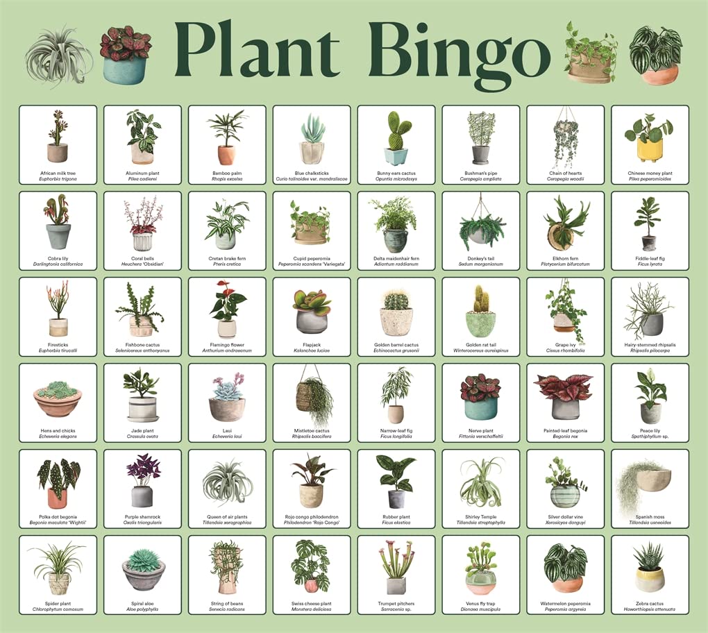 house plants game Plant Bingo – Open House Philly