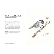 Load image into Gallery viewer, The Field Guide to Dumb Birds of North America
