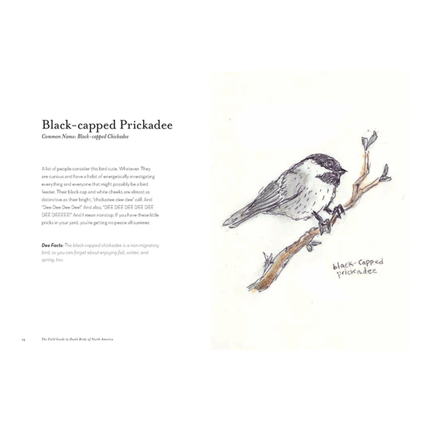 The Field Guide to Dumb Birds of North America Book – Neighborly