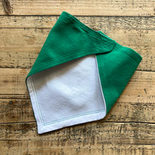 Load image into Gallery viewer, Eagles Baby Bib
