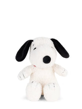 Load image into Gallery viewer, Snoopy Plush

