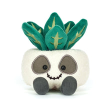 Load image into Gallery viewer, Amuseables Skull Planter
