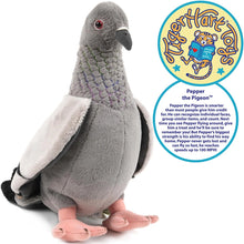 Load image into Gallery viewer, Pepper The Pigeon

