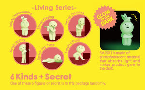 SMISKI Blind Box - Living Series