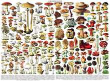 Load image into Gallery viewer, Mushrooms ~ Champignons Puzzle
