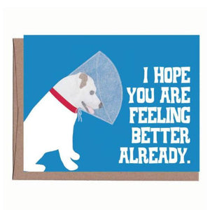 Feel Better Dog Card